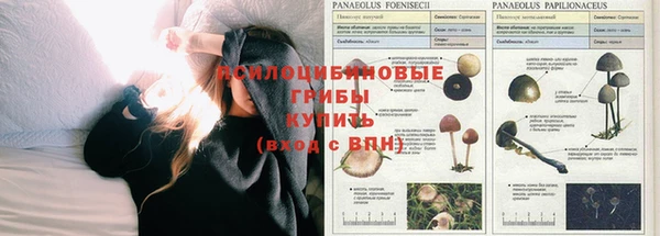 альфа пвп Михайлов