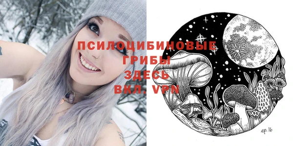 эйфоретик Билибино