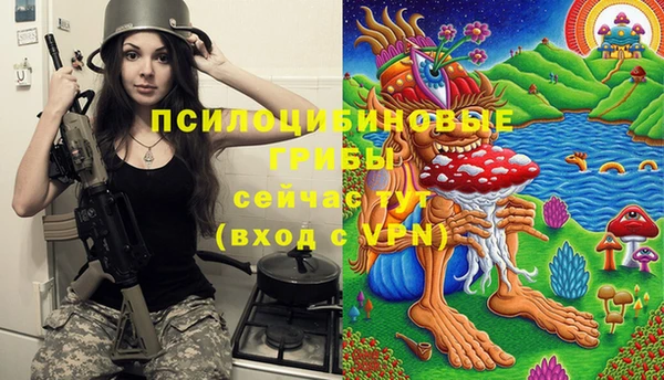 эйфоретик Билибино