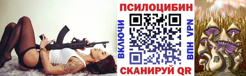 Псилоцибиновые грибы Psilocybine cubensis  Весьегонск 