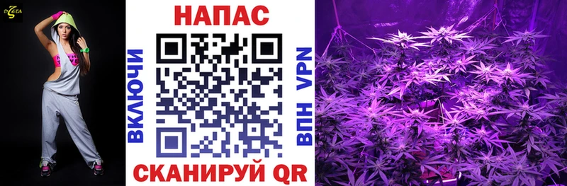 Бошки марихуана VHQ Весьегонск